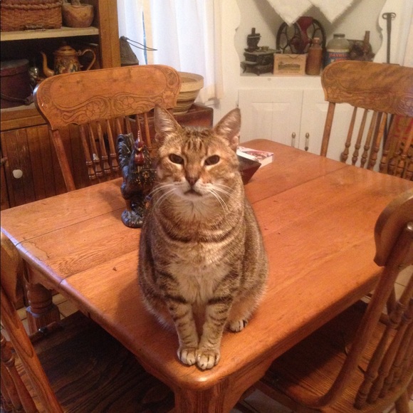 Meet your Posher, Deborah - Picture 2 of 5